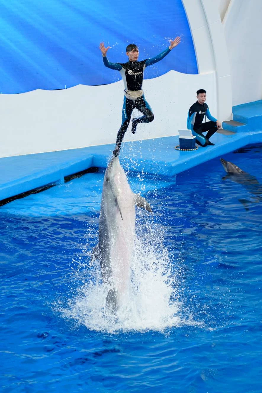 图叨叨_20250510_125921(0).webp